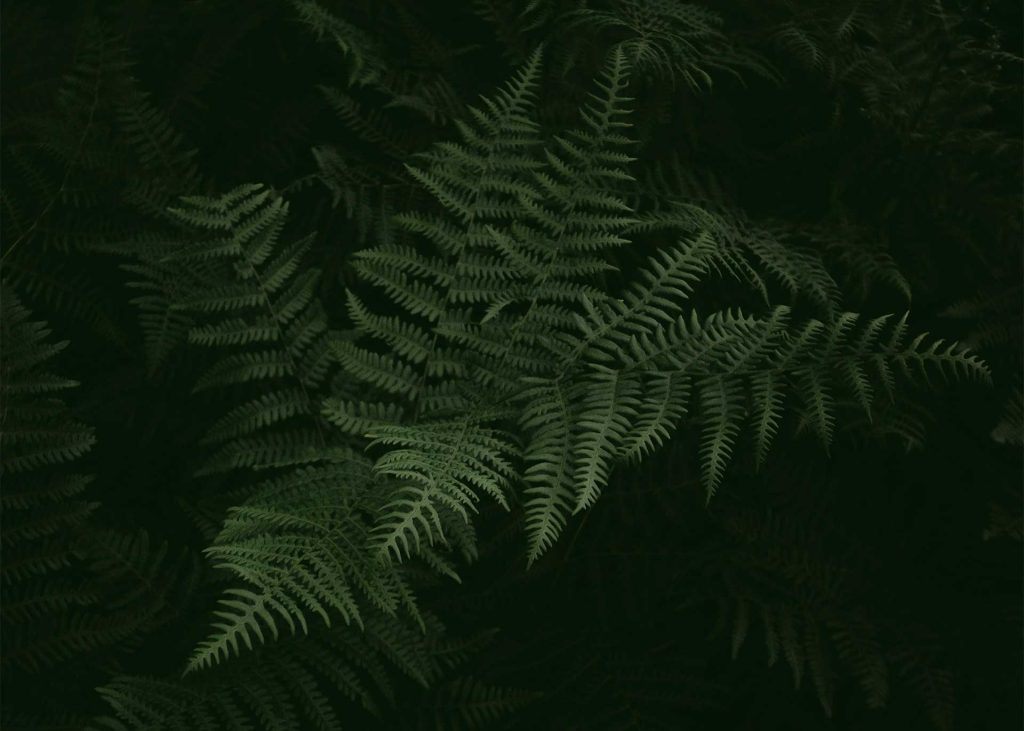 home-img0